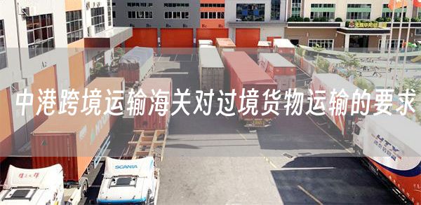 中港跨境运输海关对过境货物运输的要求(图1)